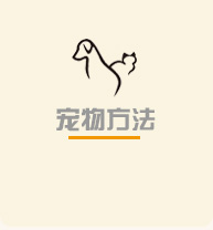 宠物方法