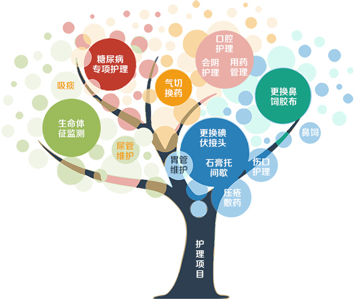 护理项目1.生命体征监测2.用药管理3.口腔护理4.会阴护理5.鼻饲6.更换鼻饲胶布7.吸痰8.气切换药9.尿管维护10.胃管维护11.石膏托间歇2.更换碘伏接头13.压疮敷药14.伤口护理15.糖尿病专项护理